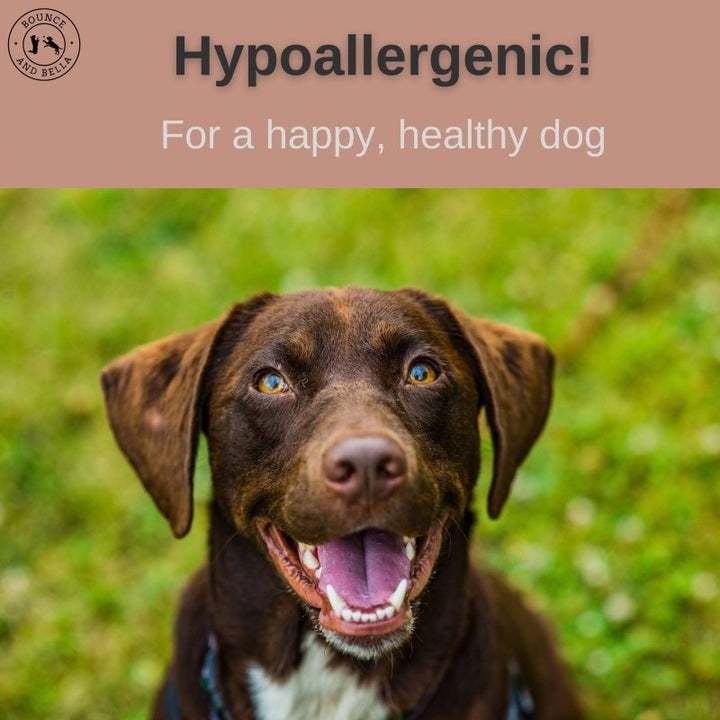 Natural Rabbit Ears with Hair,  Rich in Collagen &amp; Natural Dental Chews (from the Tasting Platter)
