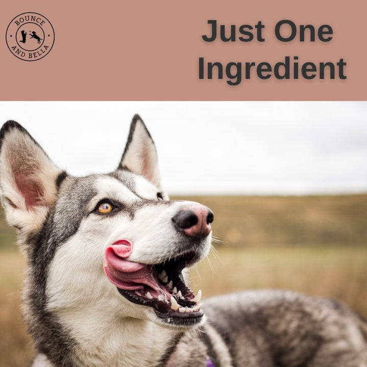 Natural Rabbit Ears with Hair,  Rich in Collagen &amp; Natural Dental Chews (from the Tasting Platter)