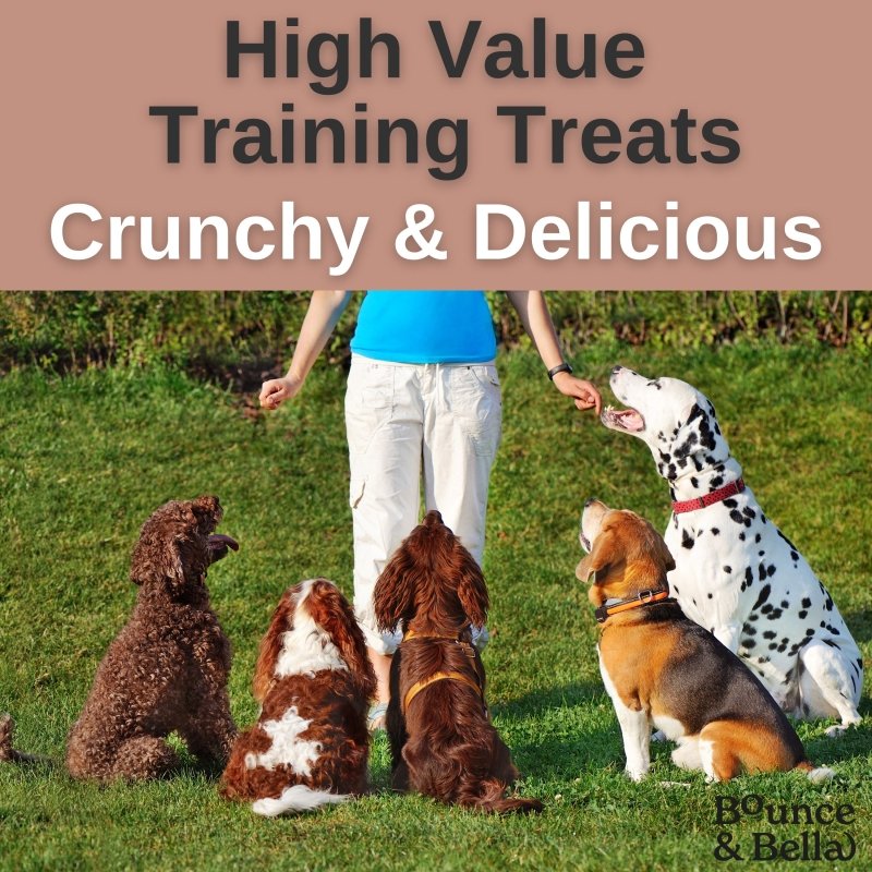 NEW 200g Grain Free Ultimate Training Treats for Dogs - Fish