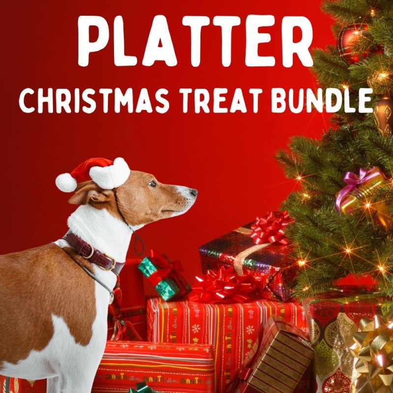 Platter Christmas Treat Bundle 🎅🐶🎅  15% Off Normal Price!