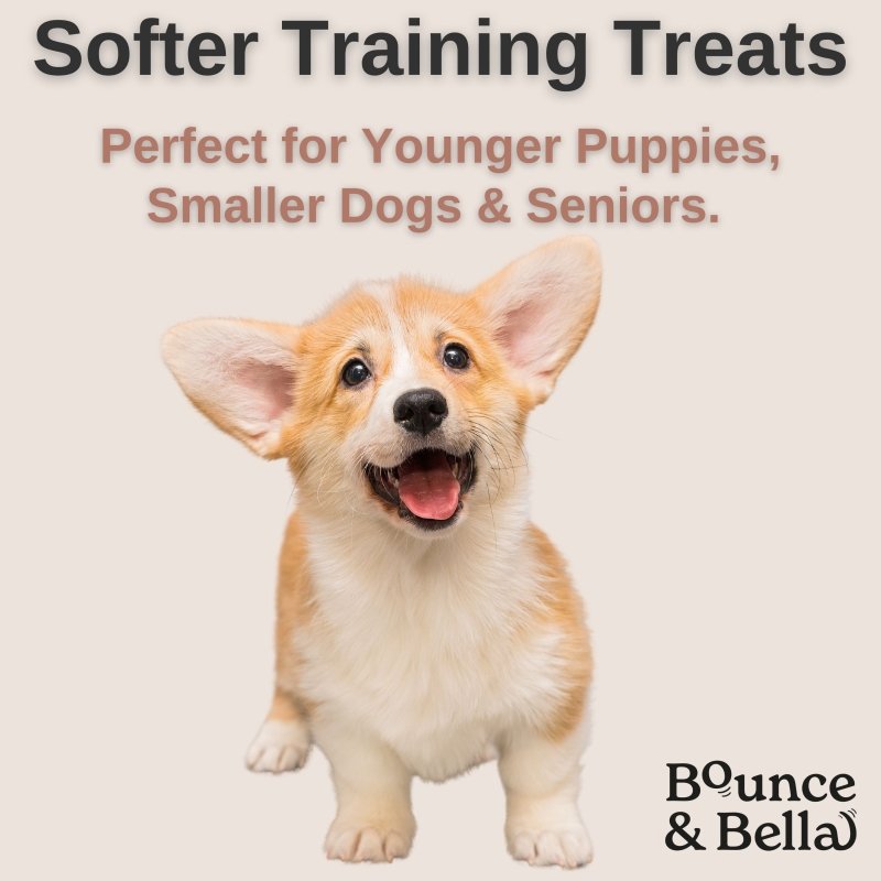 Pure Beef Nibbles – Beef Training Treats - NEW & IMPROVED