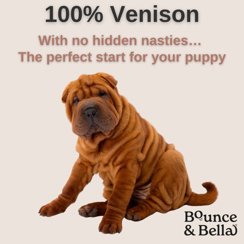 Pure Venison Nibbles – Just One Ingredient - NEW &amp; IMPROVED