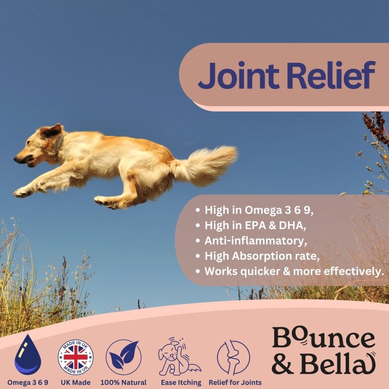 joint relief for dogs