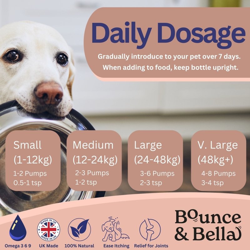 dog salmon oil daily dosage