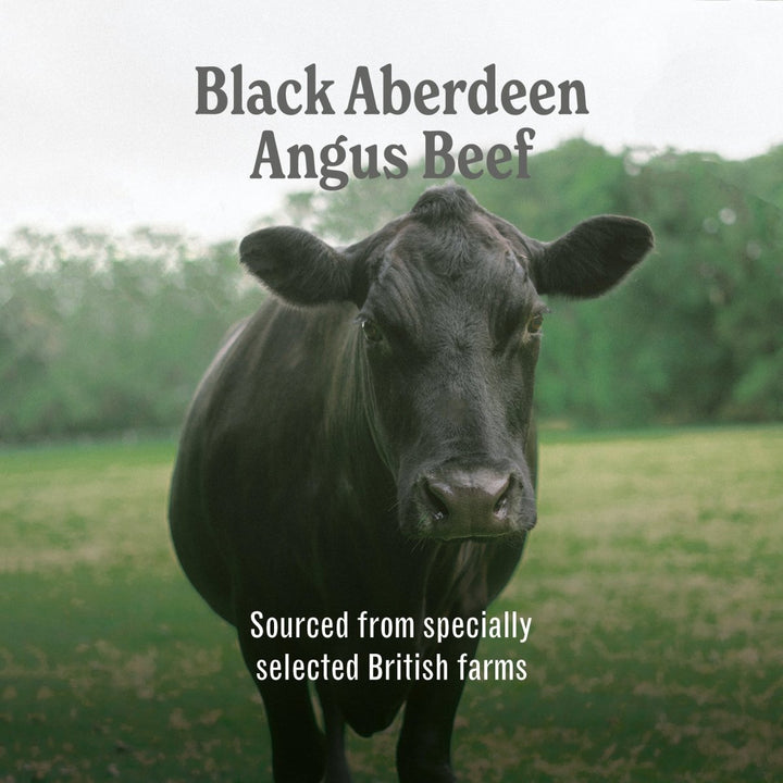 Aberdeen Angus Beef Luxury Dog Food - ADULT Complete Grain Free Dry Dog Food (2kg to 15kg)