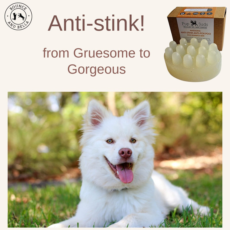 Anti-Stink Massaging Dog Shampoo Bar