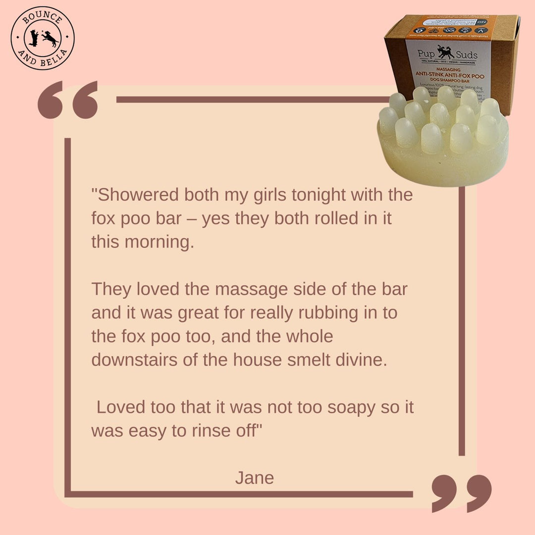 Customer review