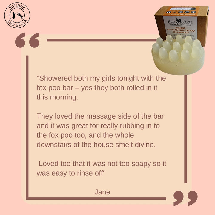 Customer review