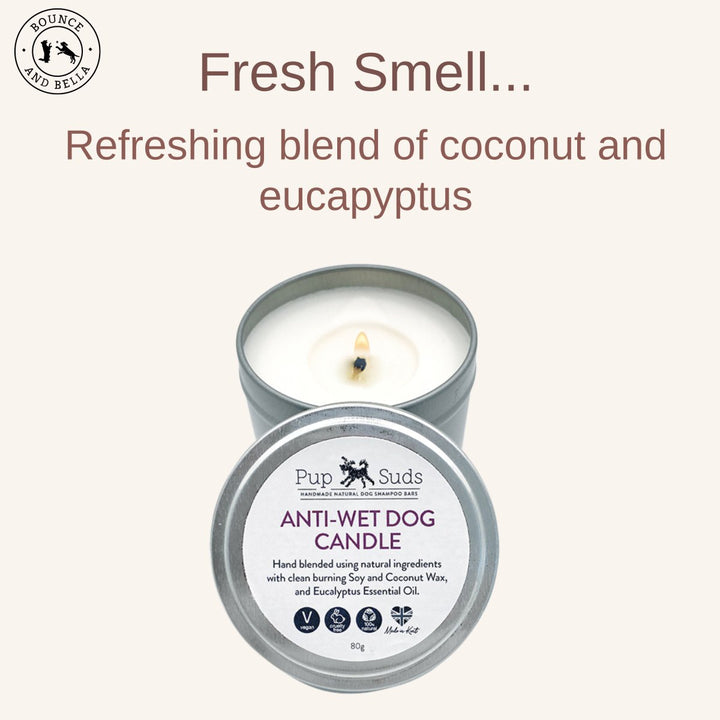 Anti-wet dog candle fresh smell