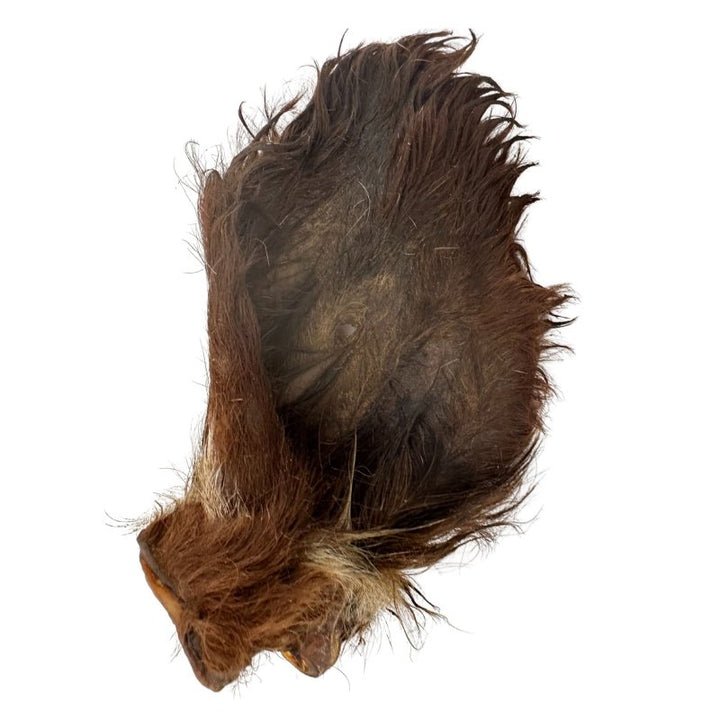Beef Ear with Hair Tasty low-fat chew &amp; natural de-wormer
