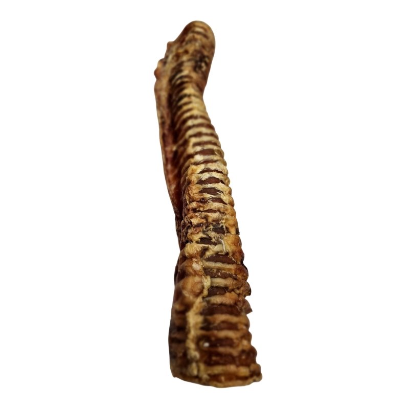 Beef Trachea, low-fat & calming natural chew for all ages (from the Ta ...