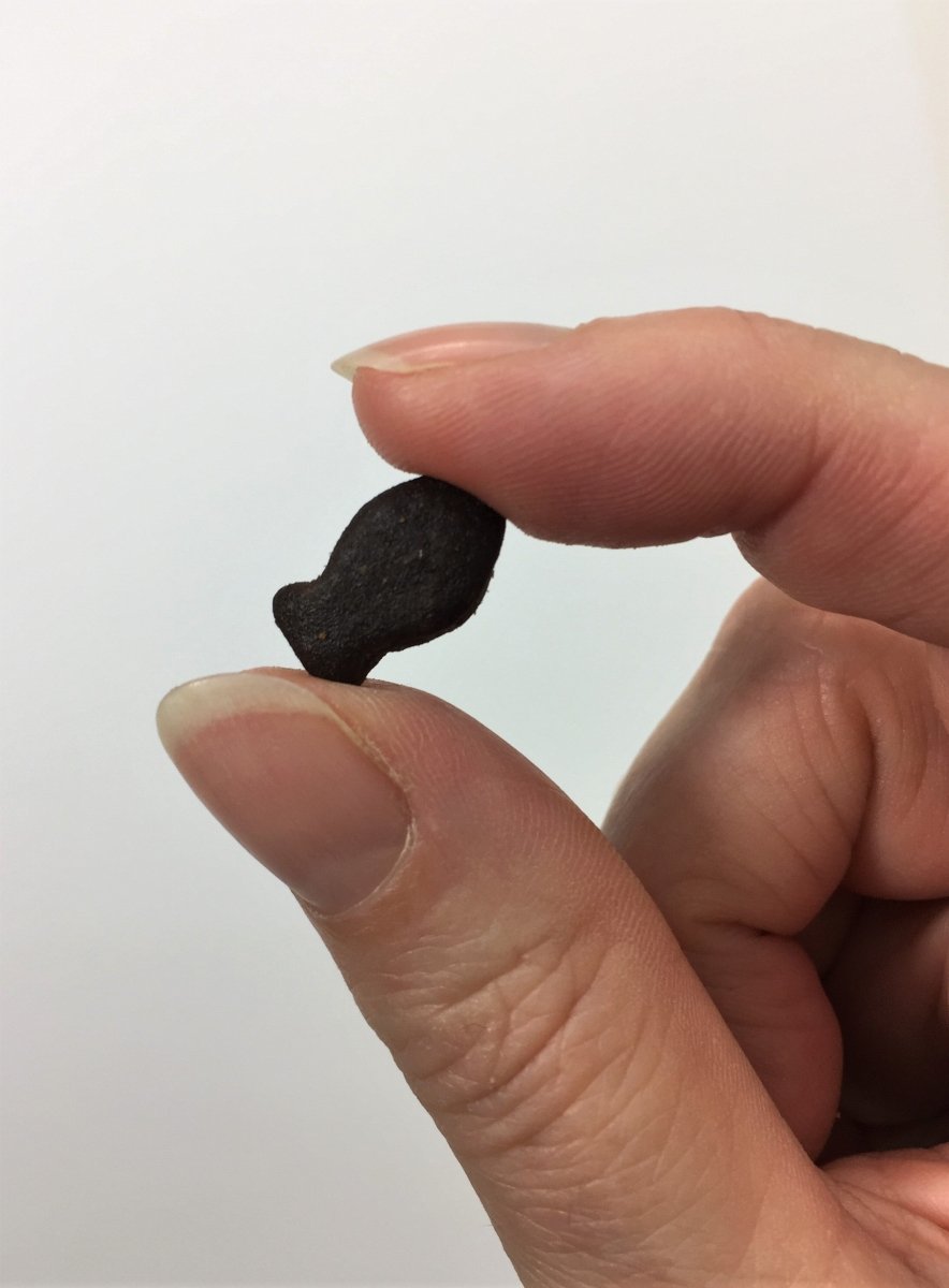 Grain-Free Fish Training Treats
