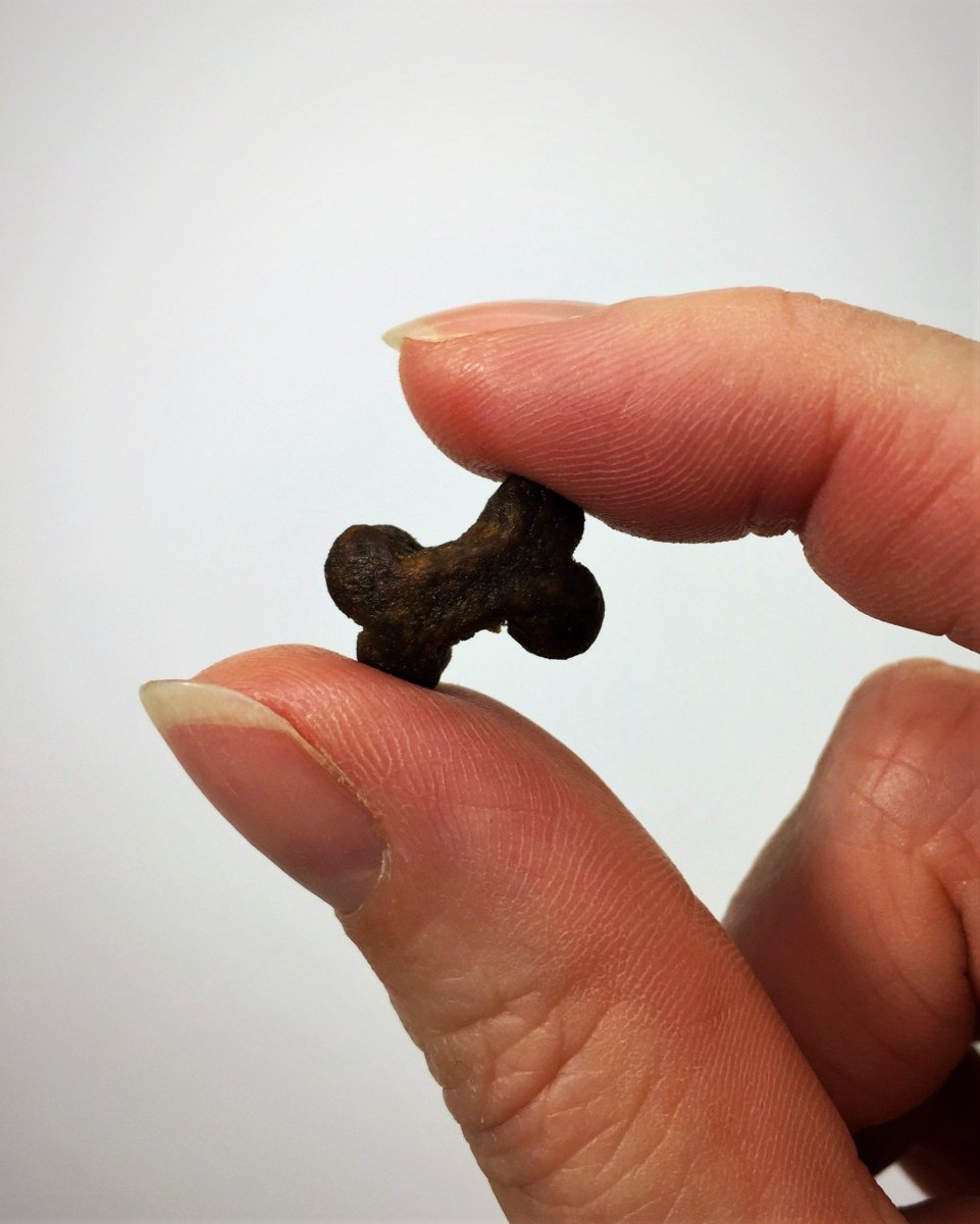 Close-up of Grain-Free Poultry Treats