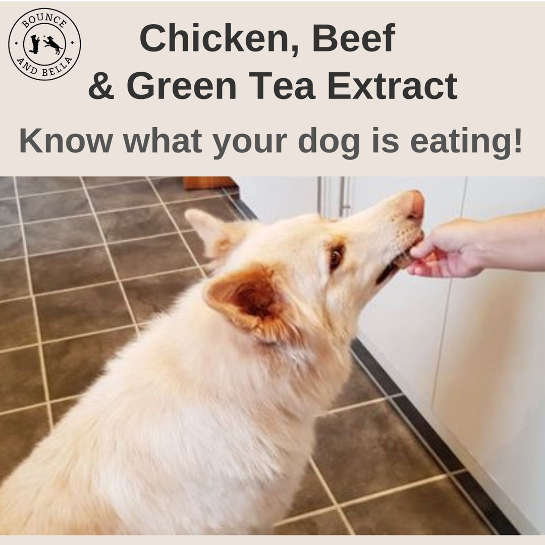 ‘Chicken, Beef &amp; Green Tea Extract. Know what your dog is eating!’
