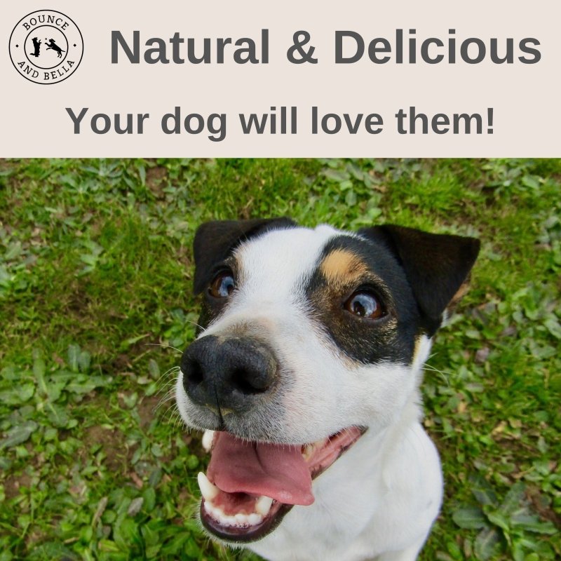 ‘Natural &amp; Delicious. Your dog will love them!’