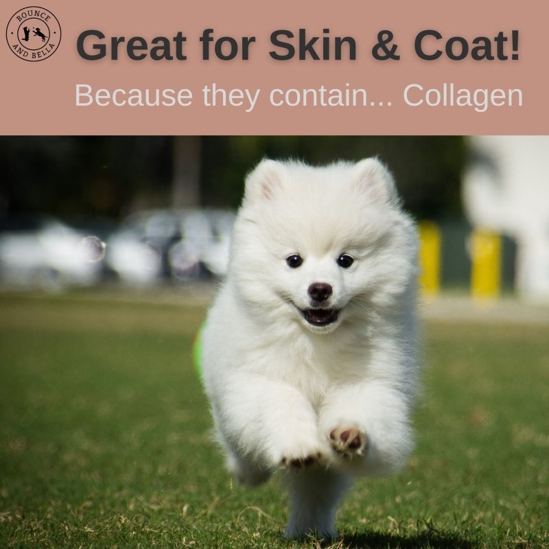  Great for Skin & Coat! Because they contain... lots of Collagen
