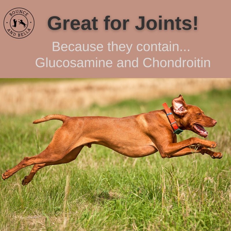 Great for Joints! Because they contain... Glucosamine and Chondroitin