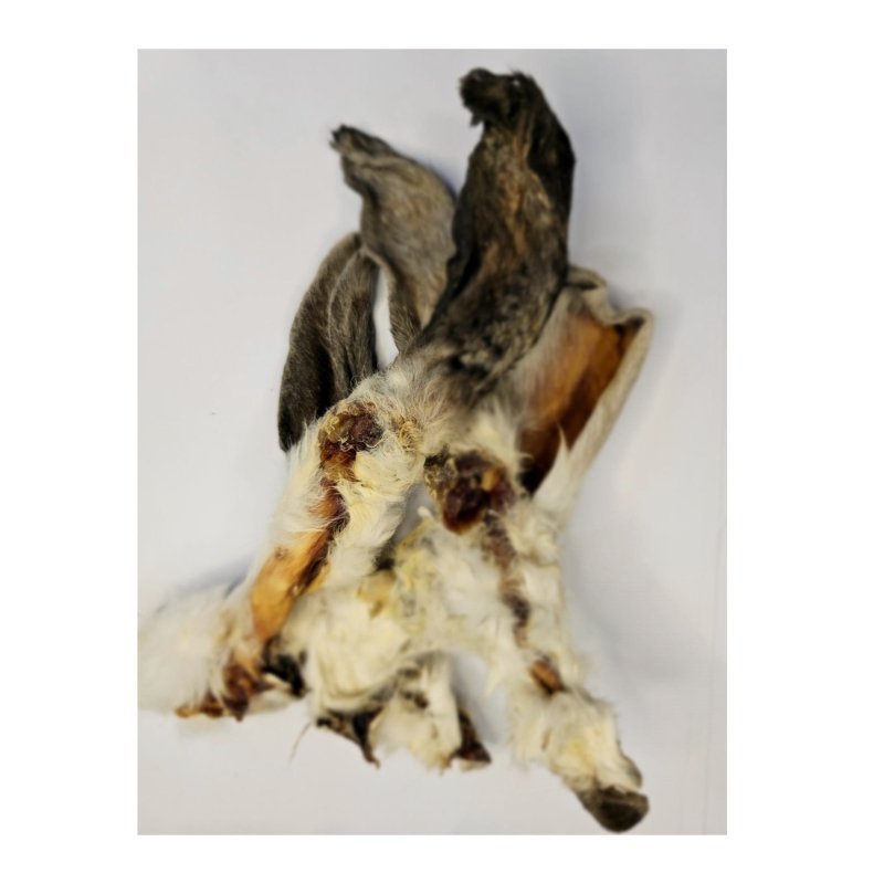 rabbit ears with hair for dogs