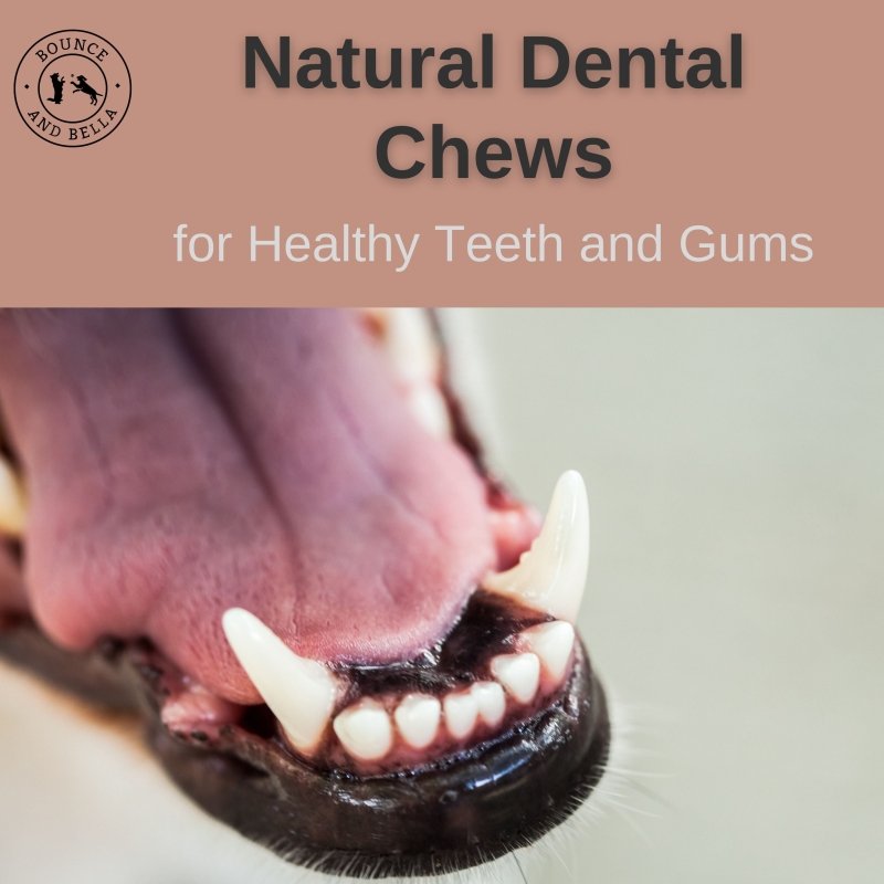 Natural Dental Chews for Healthy Teeth and Gums
