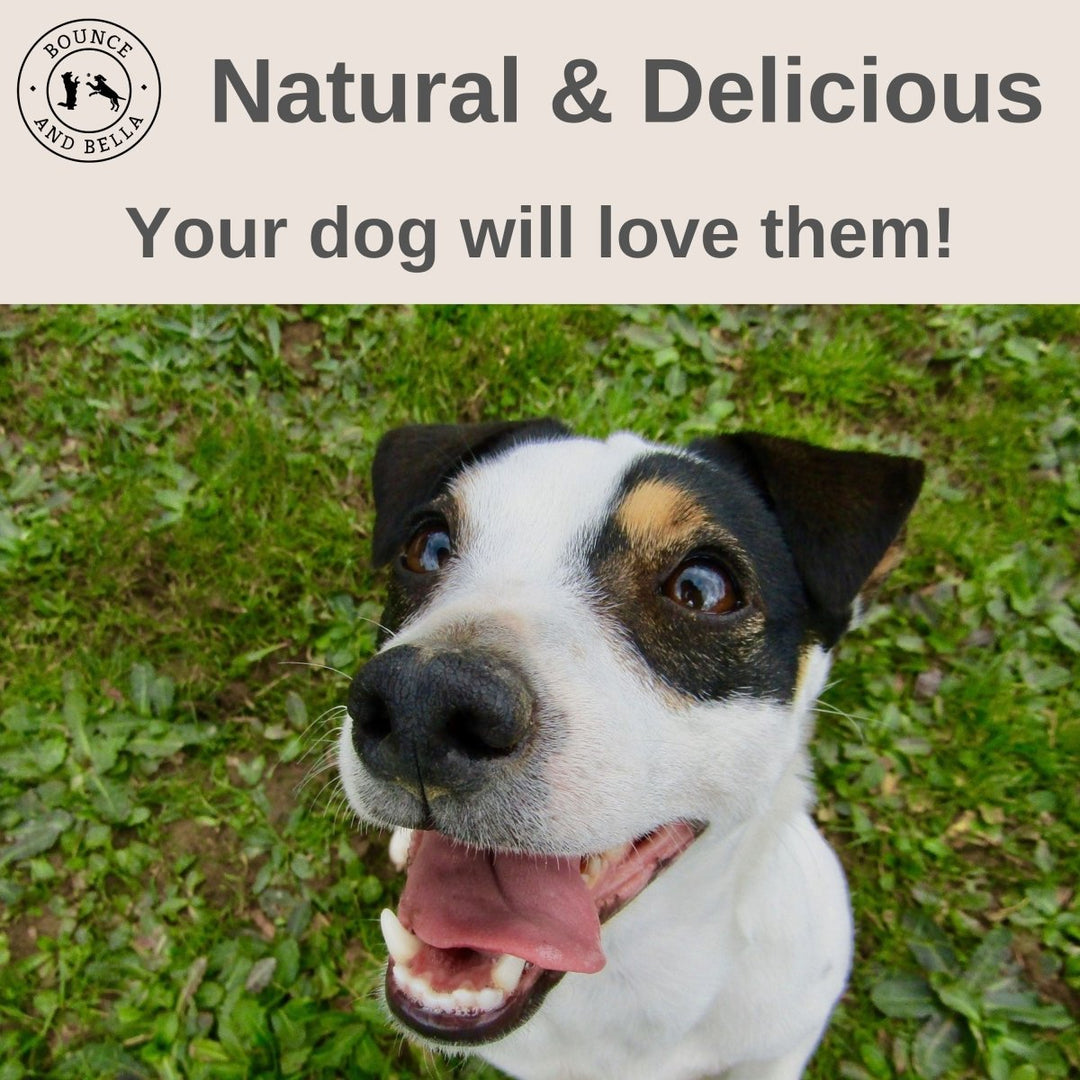 ‘Natural &amp; Delicious. Your dog will love them!’