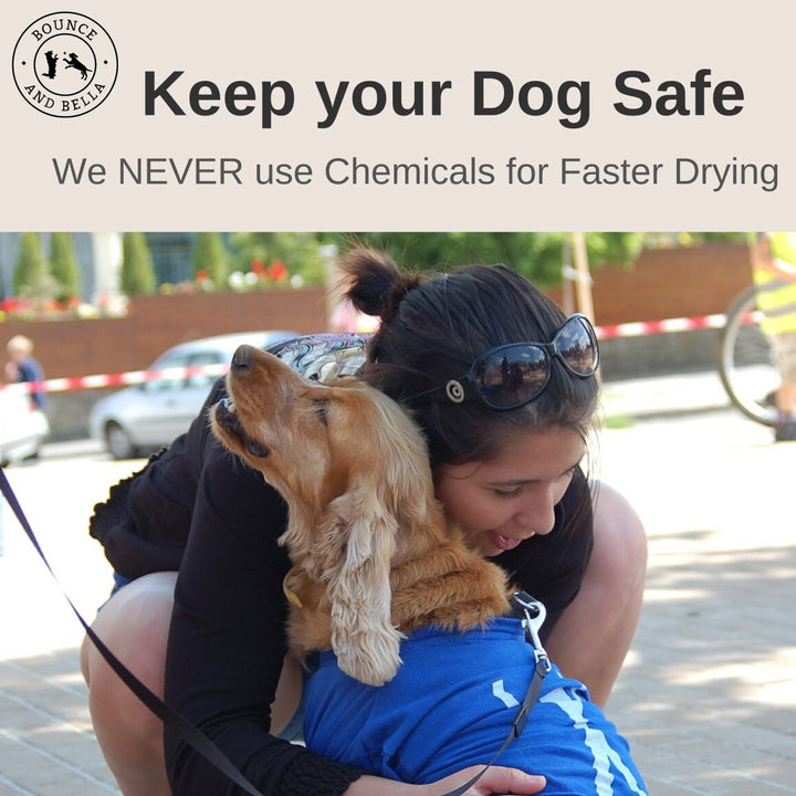Keep your dog Dog Safe. We NEVER use Chemicals for Faster Drying. 