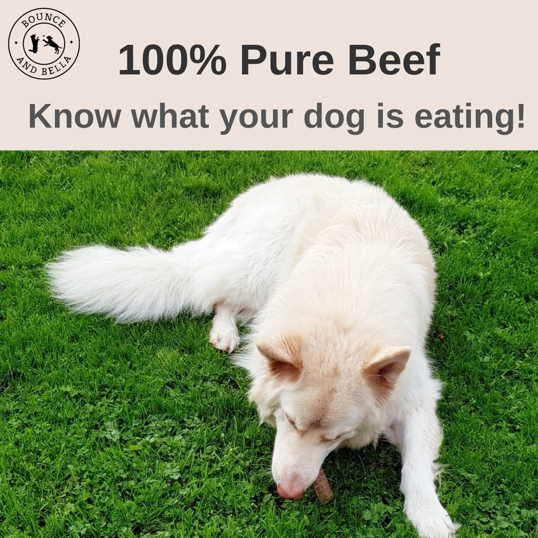100% Pure Beef, Know What Your Dog is Eating. 