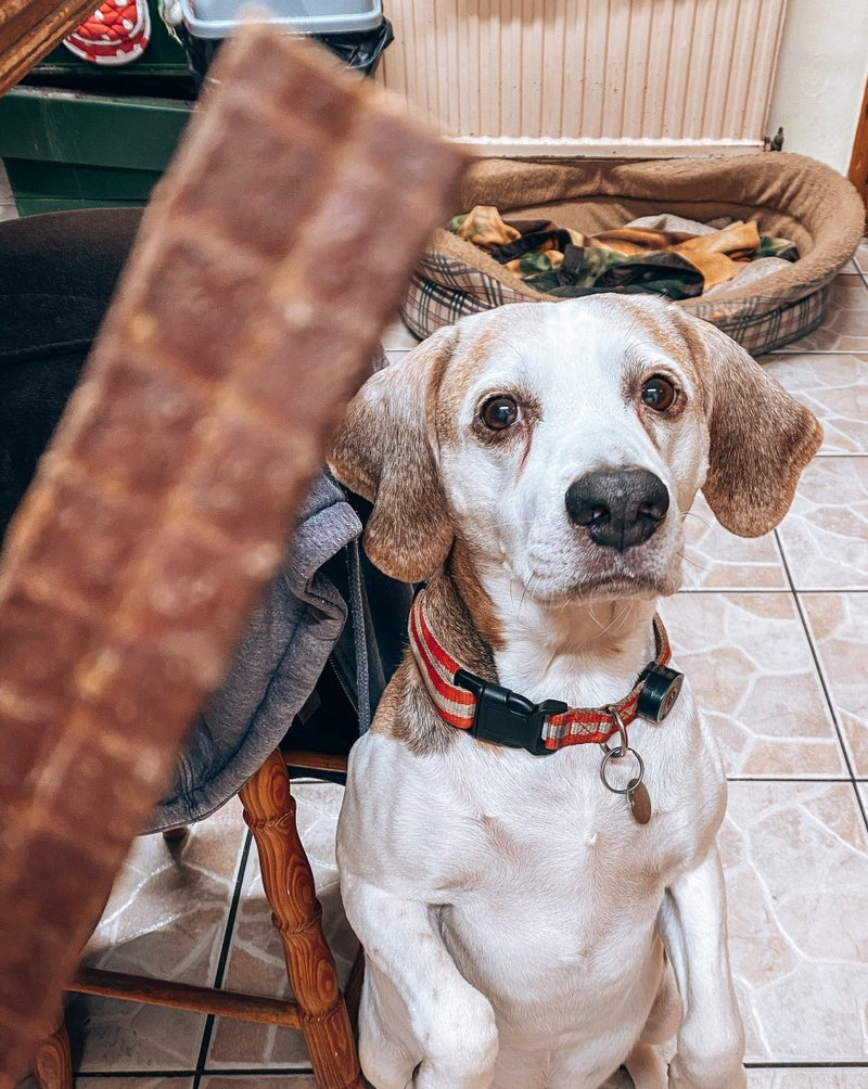 100% Pure Beef Air-Dried Chews