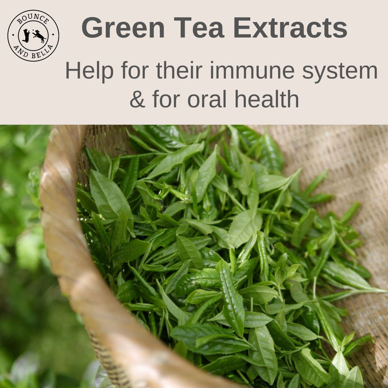 ‘Green Tea Extracts. Help for their immune system & for oral health.’