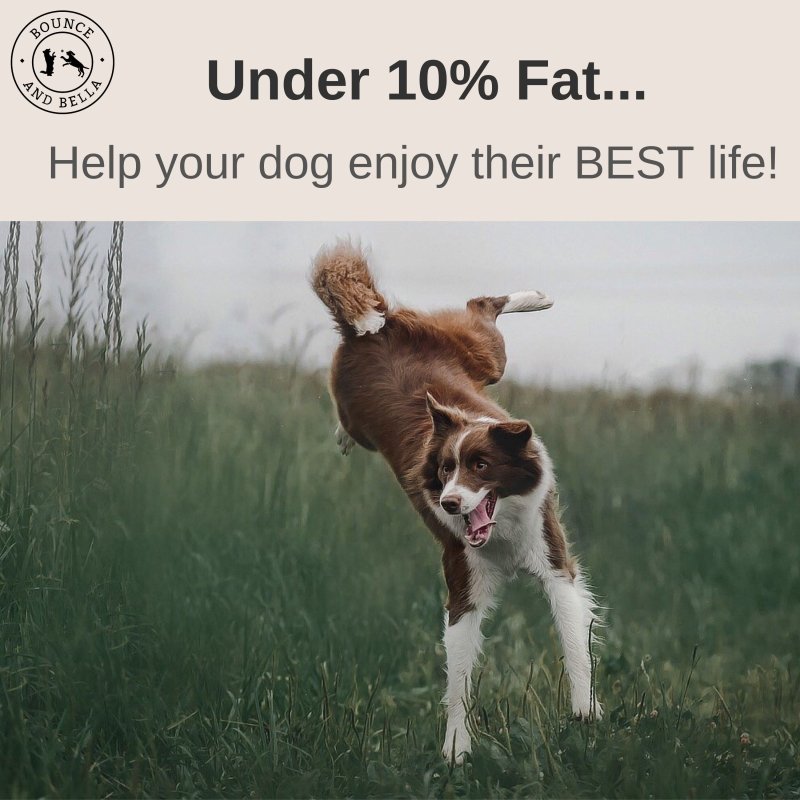 Under 10% fat! Help your dog enjoy their BEST life!