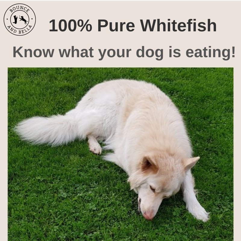 100% Pure Whitefish - Know What Your Dog Is Eating!