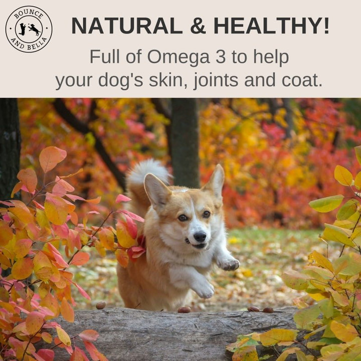 Full of Omega 3 to help your dog’s skin, joints and coat. 