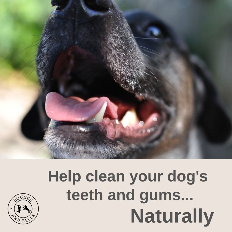 ‘Help clean your dog’s teeth and gums naturally.’