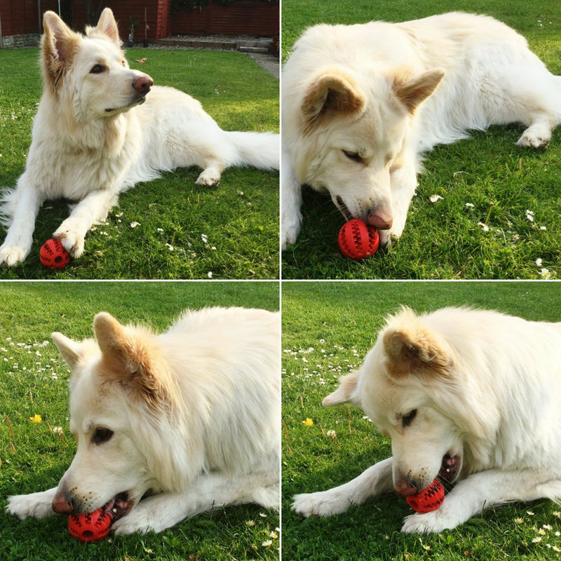 Dog Treat Ball Dispenser Toy