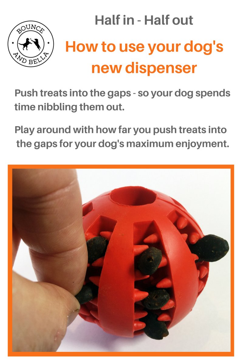 Dog Treat Dispenser Toy & Grain Free Fish Treats Bounce and Bella