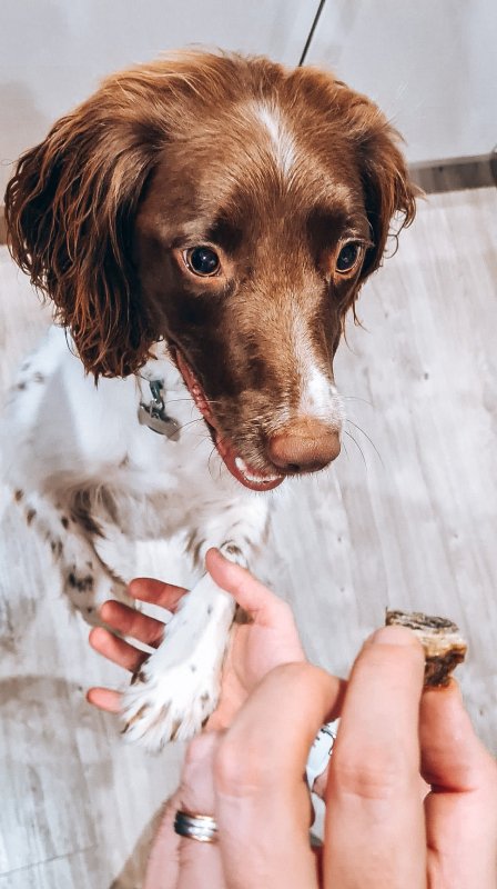 Fish Skin Snack. 