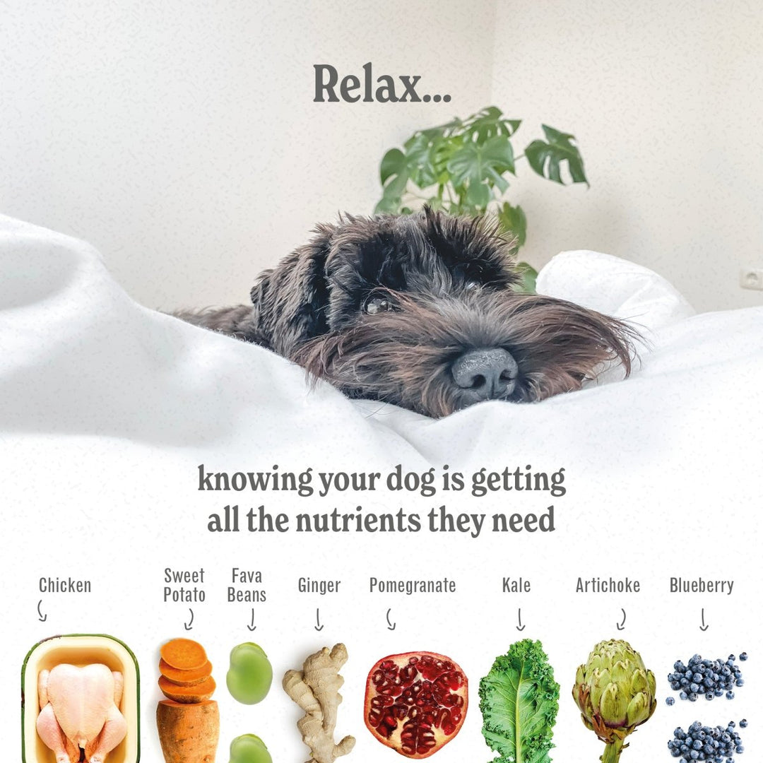 Free-Range Chicken Luxury Grain Free Dog Food - ADULT - Complete &amp; Grain Free (2kg to 15kg)