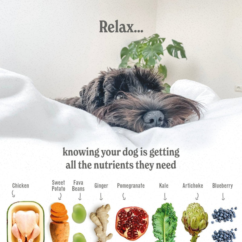 Free-Range Chicken Luxury Grain Free Dog Food - ADULT - Complete & Grain Free (2kg to 15kg)