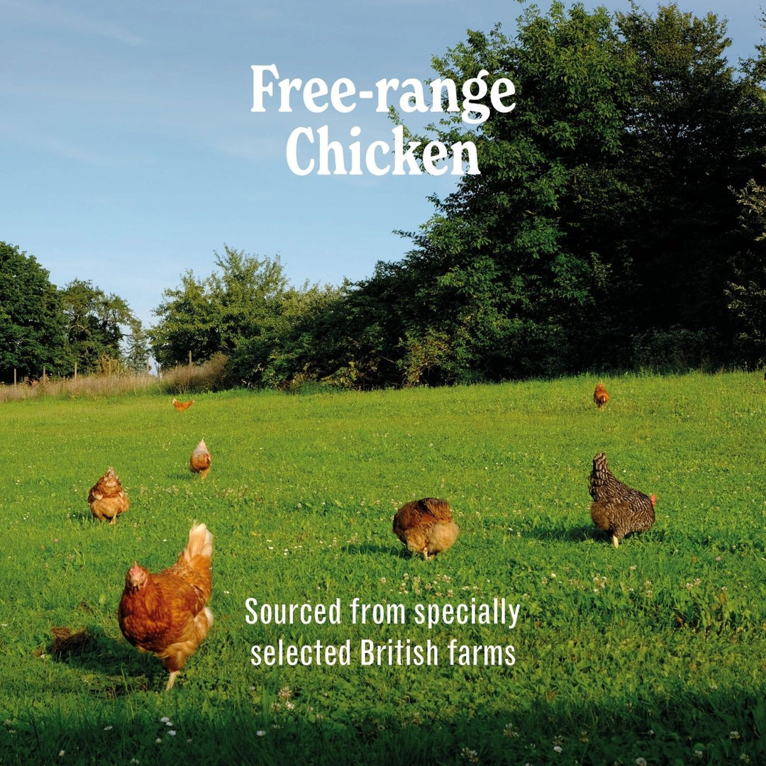 Free-Range Chicken Luxury Grain Free Dog Food - ADULT - Complete &amp; Grain Free (2kg to 15kg)