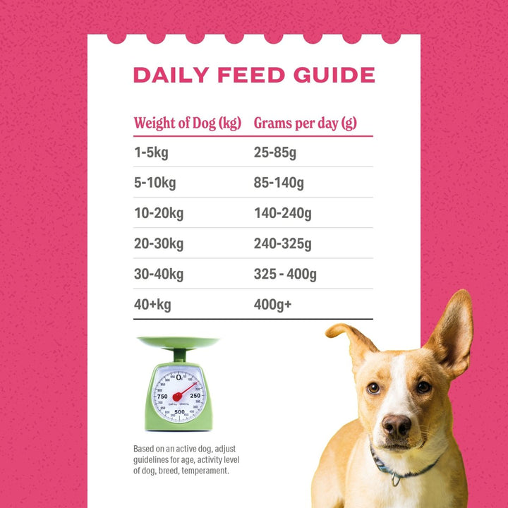 Free-Range Chicken Luxury Grain Free Dog Food - ADULT - Complete &amp; Grain Free (2kg to 15kg)