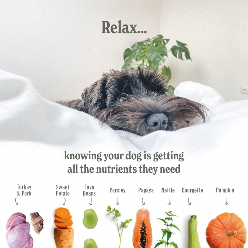 Free-range Turkey - PUPPY - Luxury Complete Grain Free Dry Dog Food (2kg to 12kg)