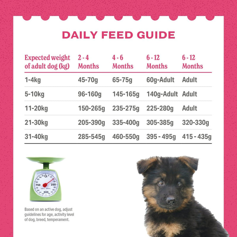 Free-range Turkey - PUPPY - Luxury Complete Grain Free Dry Dog Food (2kg to 12kg)