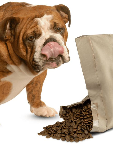 Specialty dog food discount stores near me