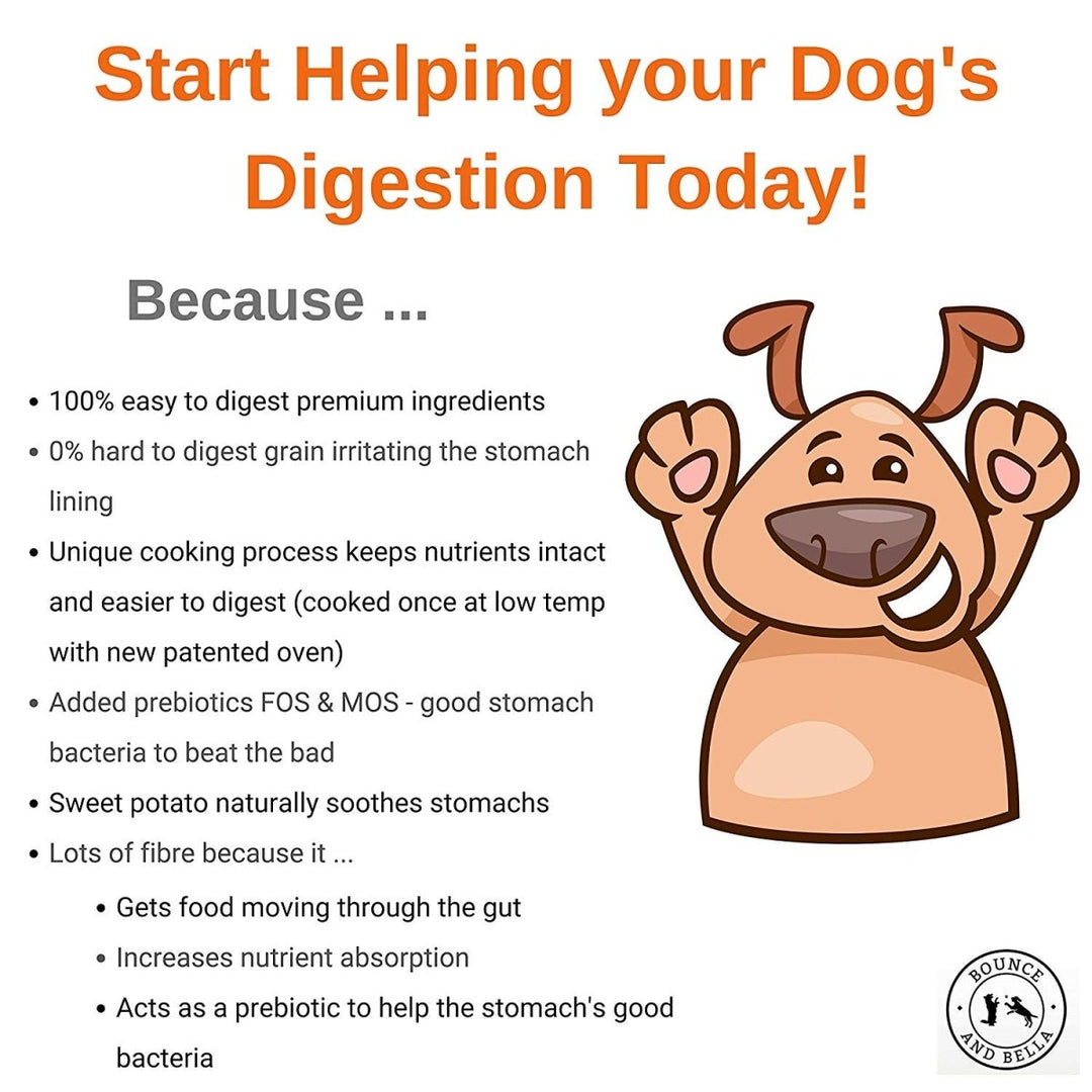 Start helping your dog’s digestion today! 