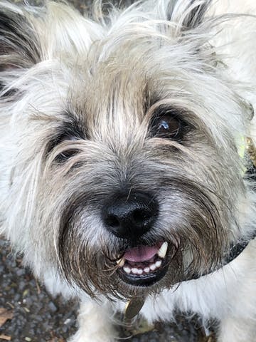 Hetty from Denise G.