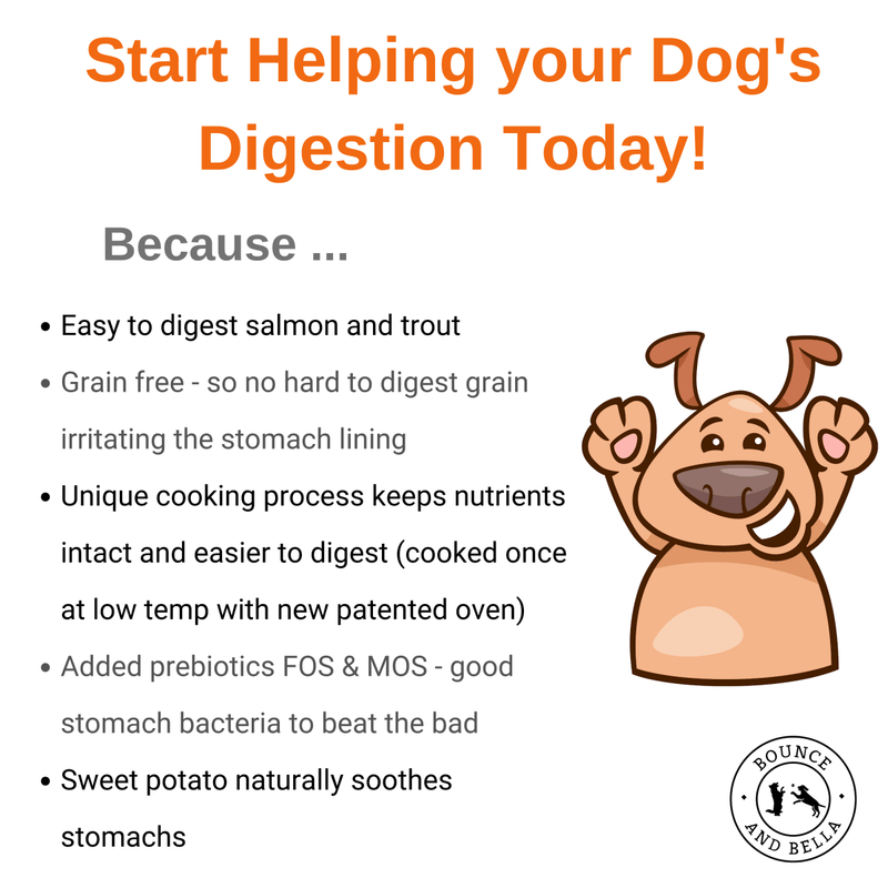 how to help your dog's digestion