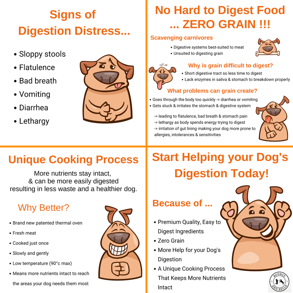 Help with digestion