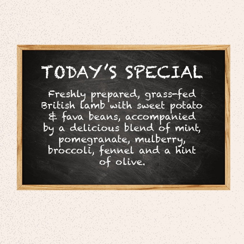 Luxury Grain Free Lamb Dog Food - Grass-Fed Lamb - ADULT (2kg to 15kg)