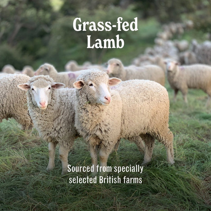 Luxury Grain Free Lamb Dog Food - Grass-Fed Lamb - ADULT (2kg to 15kg)