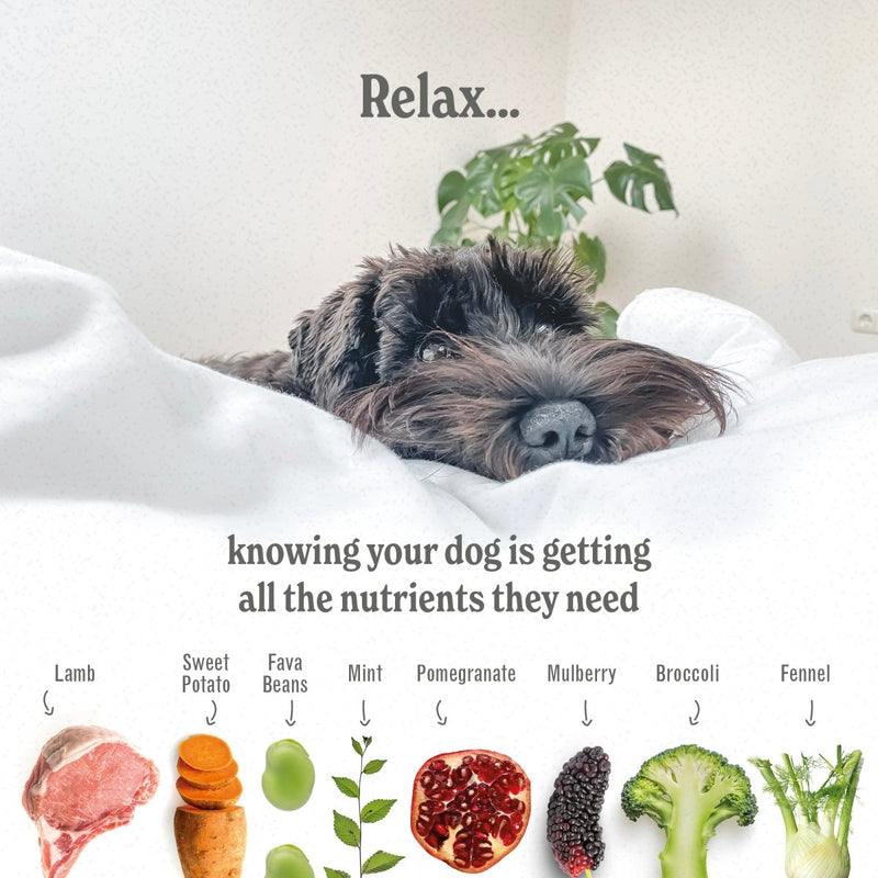 Luxury Grain Free Lamb Dog Food - Grass-Fed Lamb - ADULT (2kg to 15kg)