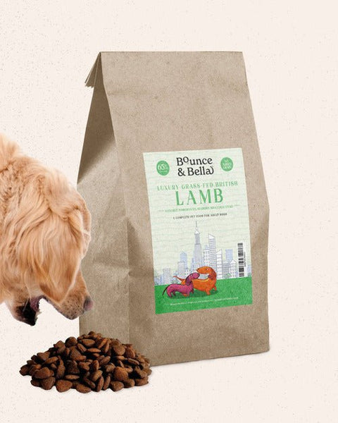 Luxury Lamb Grain Free Dry Dog Food Bounce and Bella